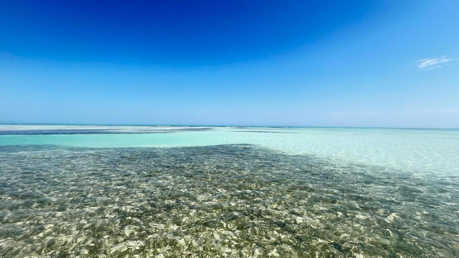 Casa Pascale Hotell Punta Allen Eksteriør bilde