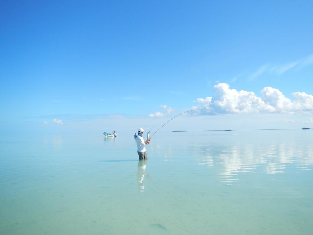 Casa Pascale Hotell Punta Allen Rom bilde