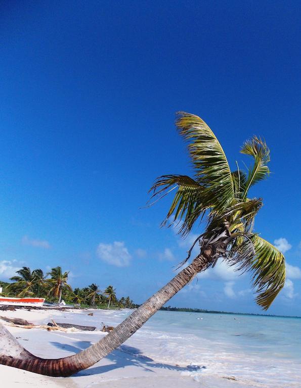 Casa Pascale Hotell Punta Allen Eksteriør bilde