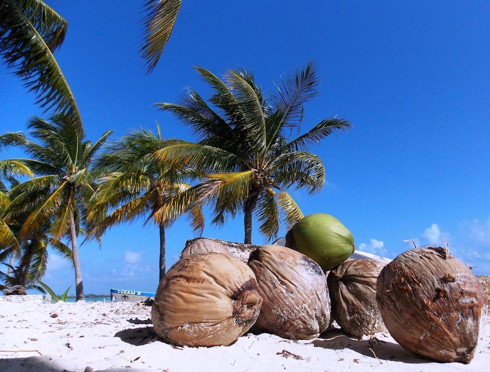 Casa Pascale Hotell Punta Allen Eksteriør bilde